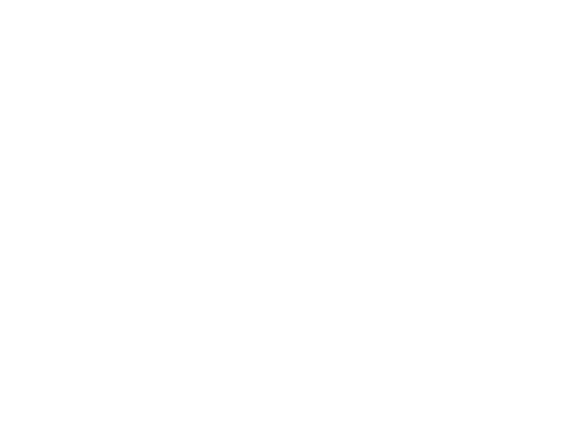 What Clients Are Saying